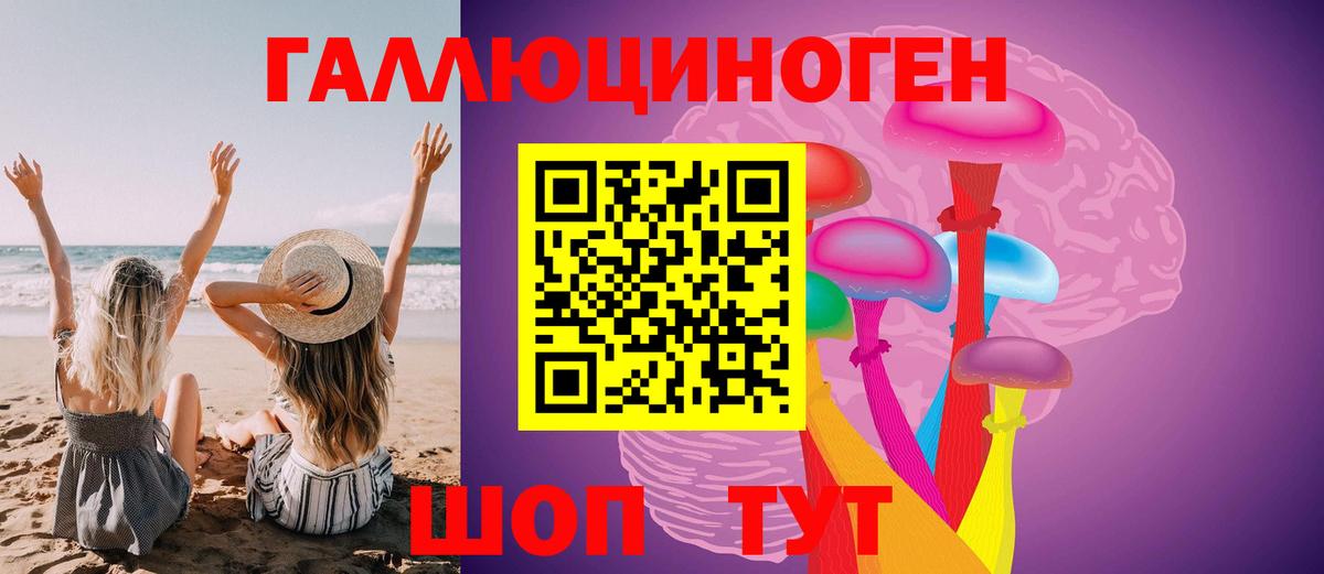 продажа наркотиков  Галлюциногенные грибы GOLDEN TEACHER  Вход с VPN  Псилоцибиновые грибы Psilocybe  Бийск 