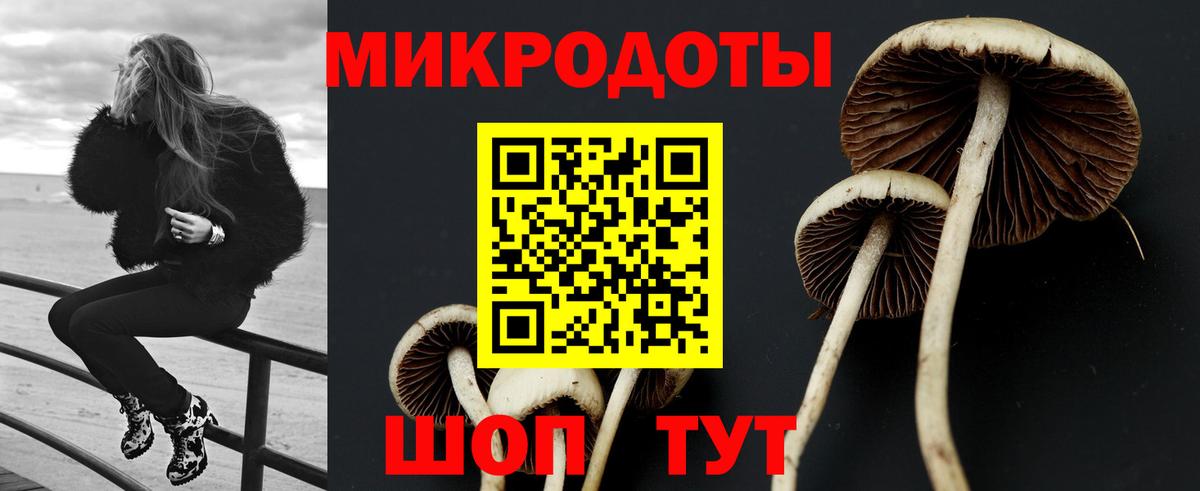 Галлюциногенные грибы Magic Shrooms Бийск